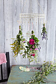 Bouquets of herbs hung up to dry