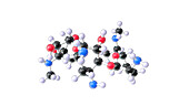 Gentamicin antibiotic drug, molecular model