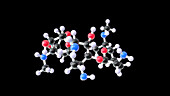 Gentamicin antibiotic drug, molecular model