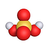 Sulphuric acid, molecular model