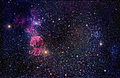 Messier 35 and the Jellyfish nebula