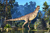 Carnotaurus dinosaur, illustration