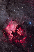 North America nebula in Cygnus