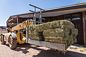 Forklift with a hay squeeze moving bales of hay for loading