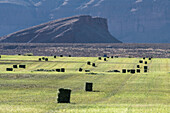 Bales of hay on a ranch in Utah, USA
