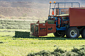 Baling hay with a tractor and a baler on a ranch