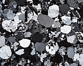 Buntsandstein, thin section, 30:1