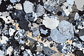 Bunter sandstone, light micrograph