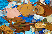 Paragneiss, thin section, 60:1