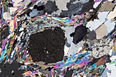 Gneiss with garnet, light micrograph