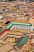Vatican roofscape