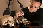 Scientist studying Homo habilis skulls