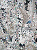 Crinoidal limestone, light micrograph