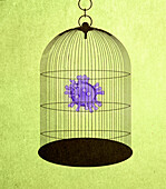 Coronavirus particle inside birdcage, illustration