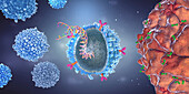 CAR T cell with implanted gene strain, illustration