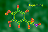 Dopamine molecule, illustration