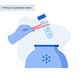 Embryo cryopreservation, illustration