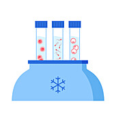 IVF specimen cryopreservation, illustration