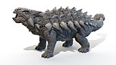 Ankylosaurus, illustration