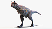 Carnotaurus, illustration