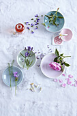 Pastel-colored bowls with flowers and vials of St. John's wort oil