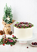 Christmas cake with cranberries
