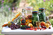 Tinctures surrounded by autumn fruits