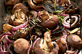 Gebratene Pilze mit roten Zwiebeln und Kräutern (Close Up)