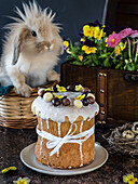 Panettone cake for Easter with a rabbit in a basket in the background