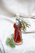 Juniper tincture to increase the body's defences