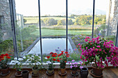 Conservatory with flowers and view of a pond and countryside