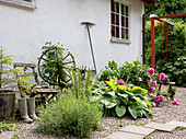 Rural garden with hostas, peonies and garden decorations