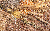 Verschiedene Sorten Getreide