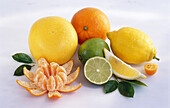 Various citrus fruits on a light background