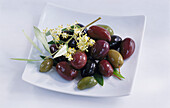 Schale mit grünen und schwarzen Oliven und Olivenzweig mit Blüte