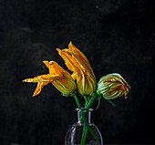Home-grown courgette flowers in a vase against a dark background