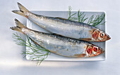 Two herrings on a dish