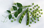 Peas, opened pea pods and leaves with flowers on a light background