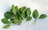 A pile of spinach leaves on a light background