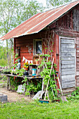 Rustikale Gartenecke mit Werkzeug und Pflanzen neben Holzschuppen