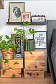 Houseplants on wooden boxes next to a bed