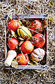 Assorted pumpkins in old rustic wooden box on straw