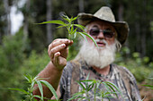 Man posing while cultivating marijuana
