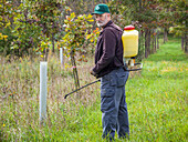 Man spraying tree sapling with pesticides