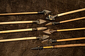 Prehistoric arrows
