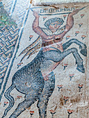 Centaur mosaic, Sepphoris, Israel