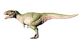 Artwork of Giganotosaurus
