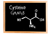 Chemical composition of cysteine, conceptual image
