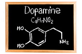 Chemical composition of dopamine, conceptual image