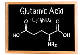 Chemical composition of glutamic acid, conceptual image